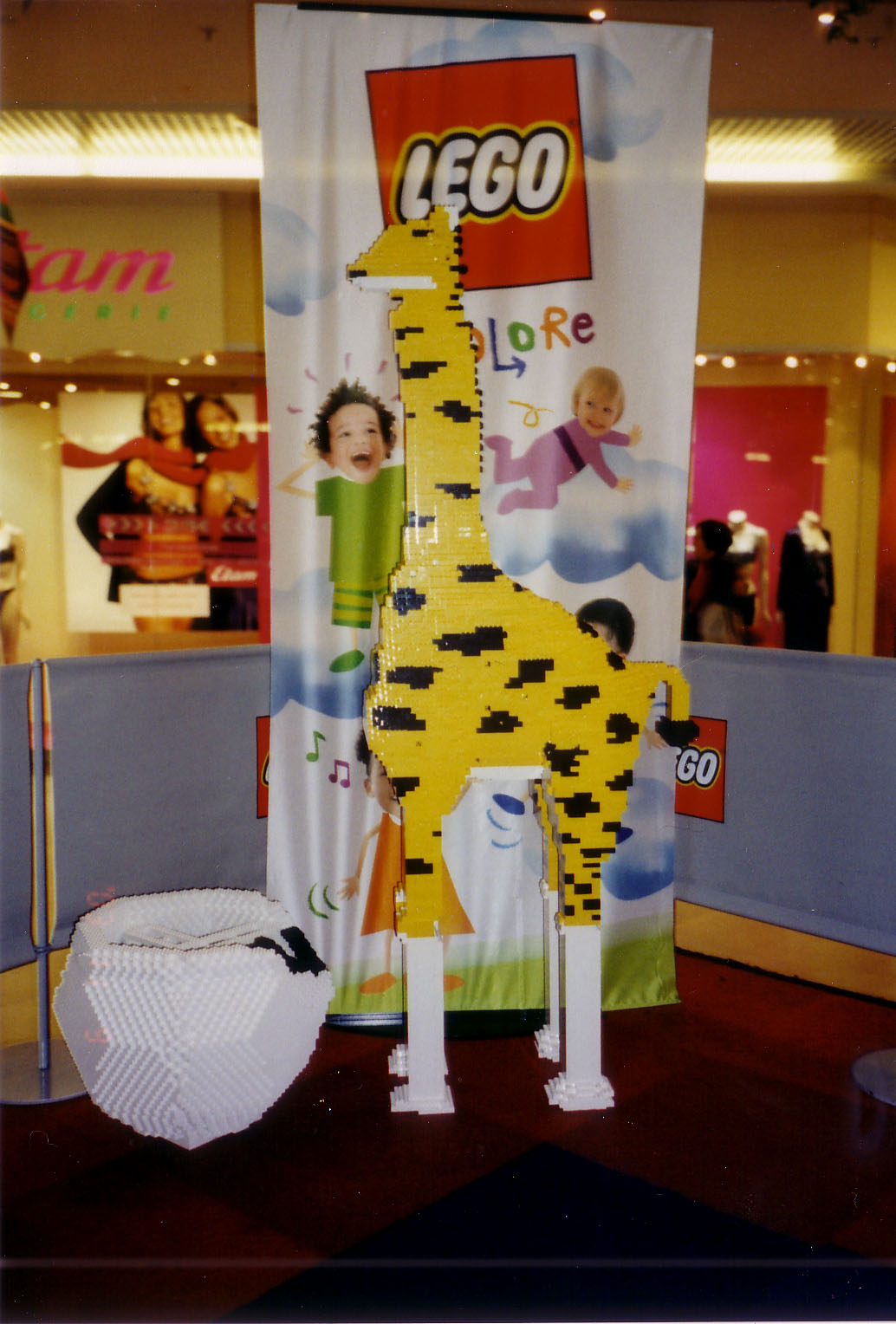 girafe4.jpg