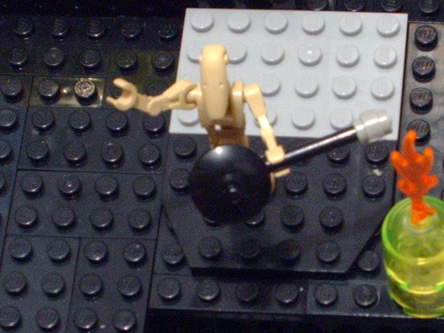 picture_105.jpg