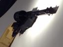 picture_322.jpg