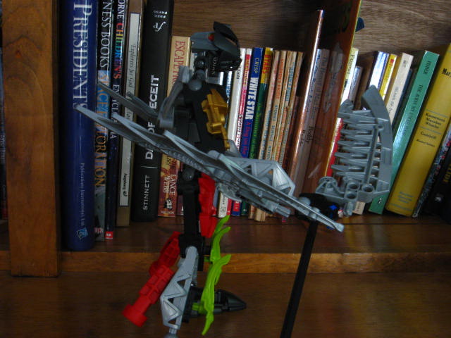 bionicle_pics_004.jpg