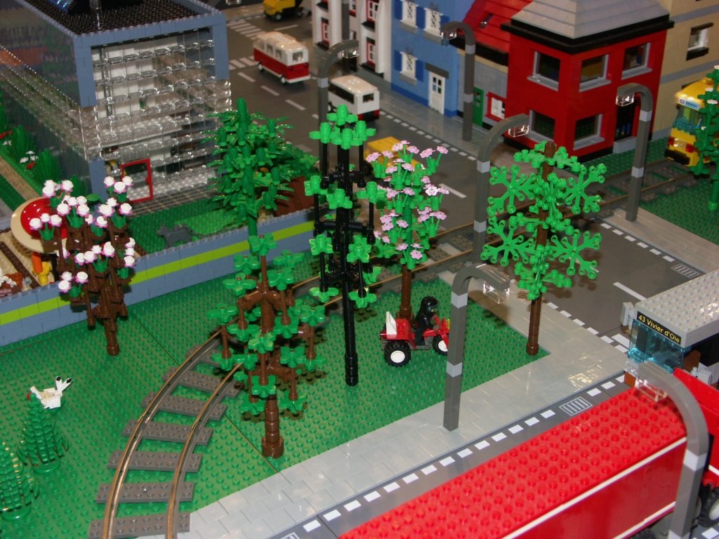 bomen_001.jpg