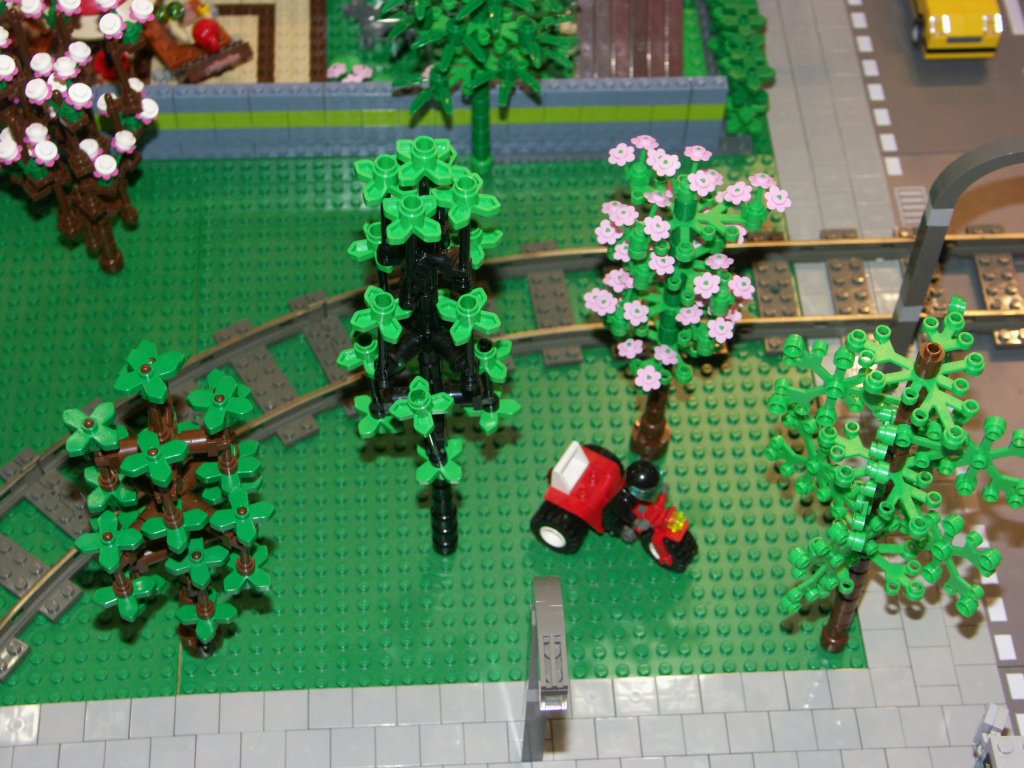 bomen_002.jpg