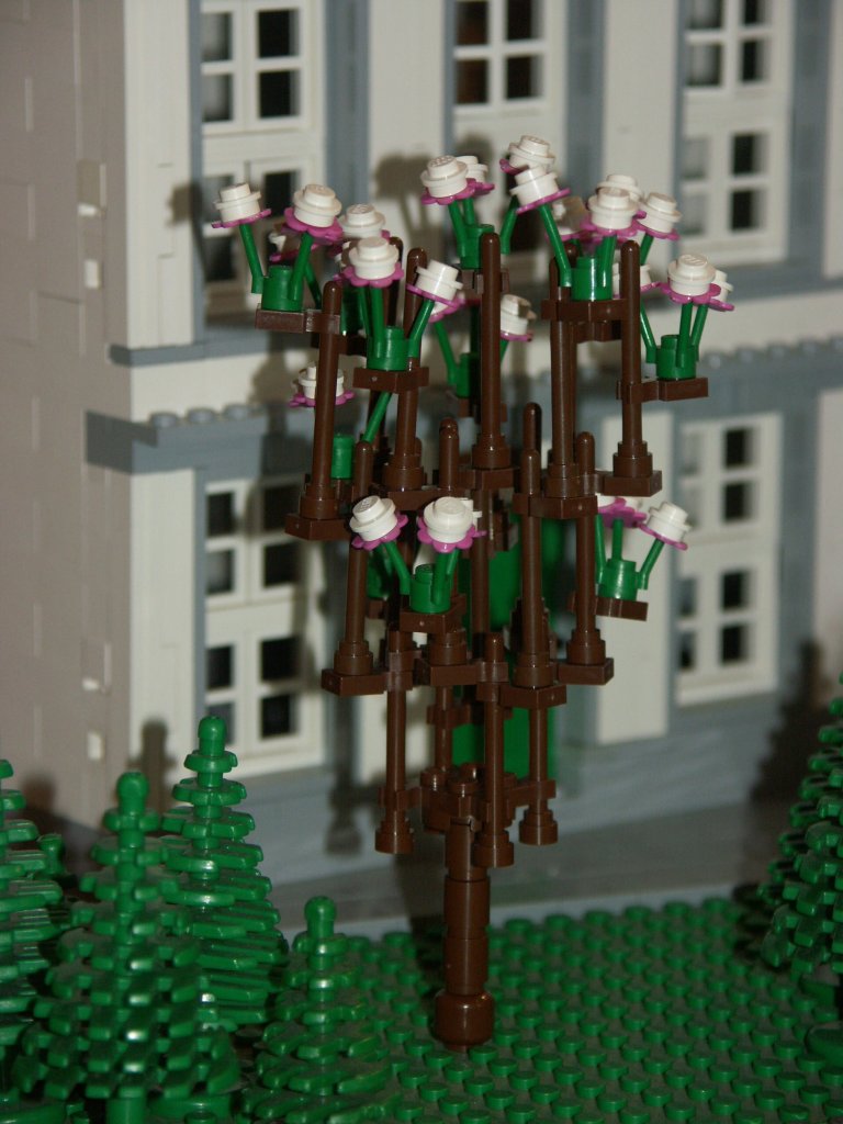 bomen_12a.jpg