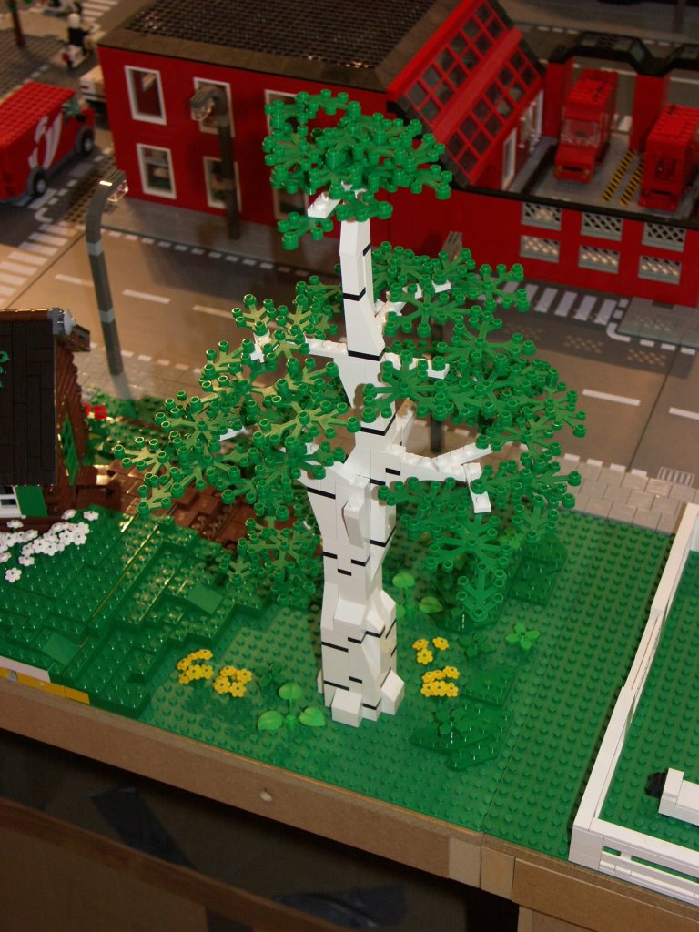 bomen_14a.jpg