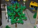 bomen_01a.jpg
