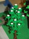 bomen_05a.jpg