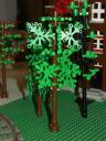 bomen_07a.jpg