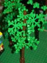 bomen_07b.jpg