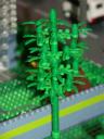 bomen_08a.jpg