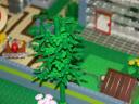 bomen_08b.jpg