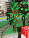 bomen_10a.jpg