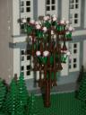 bomen_12a.jpg