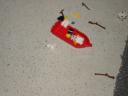 brandon_pics_104.jpg