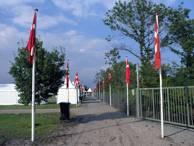 p8094280.jpg