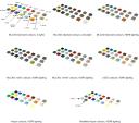 colours_complete.png