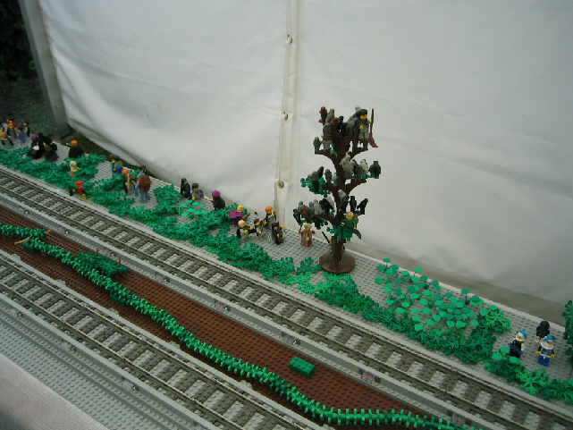x_img_6011.jpg