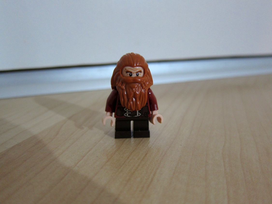 79004_minifig2.jpg