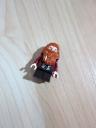 79004_minifig.jpg