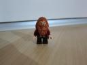 79004_minifig2.jpg