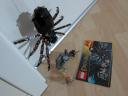 9470_set_complete_topview.jpg
