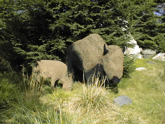 323_bison.jpg