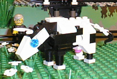 71_cow.jpg