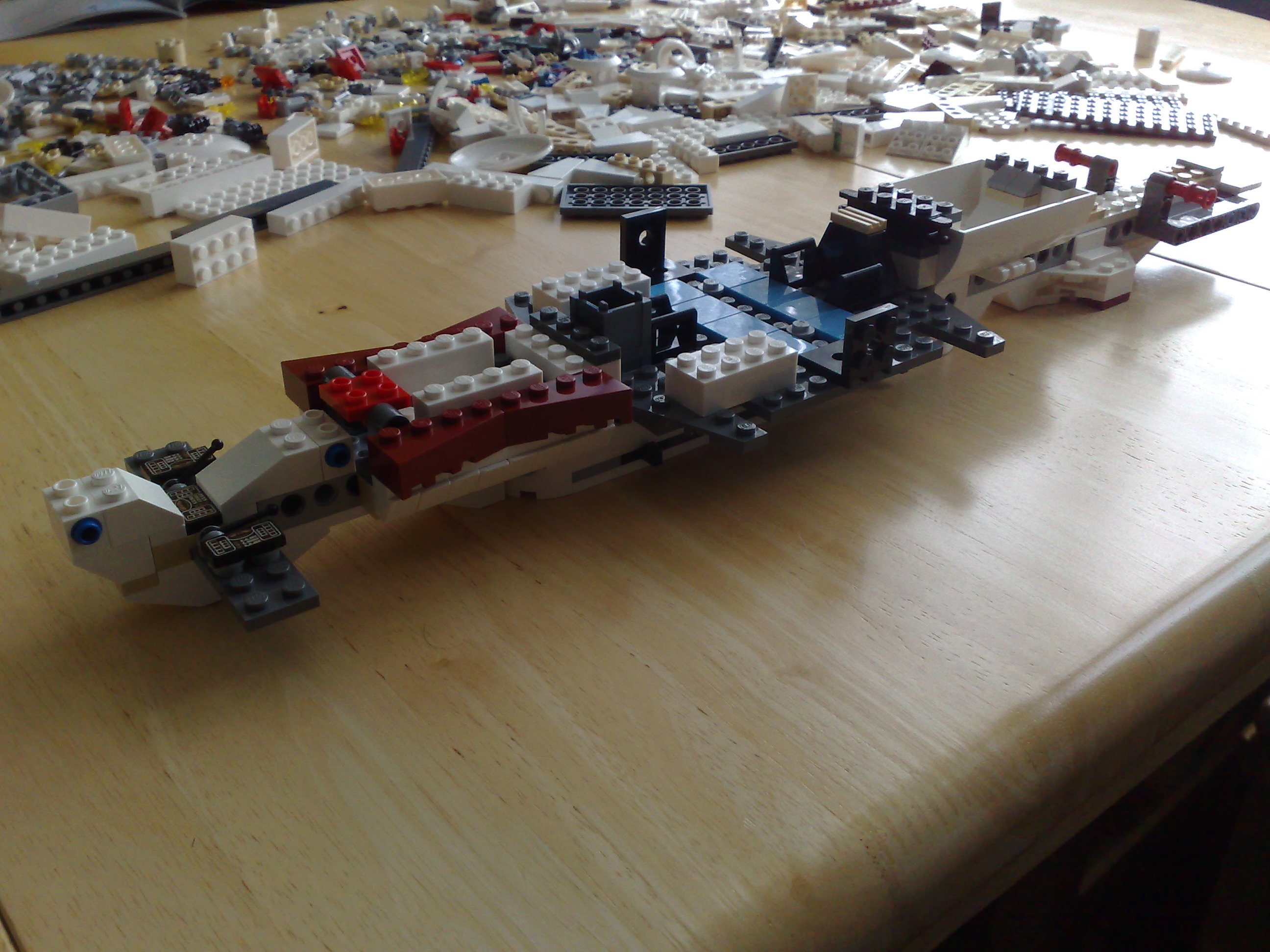 09092009564.jpg