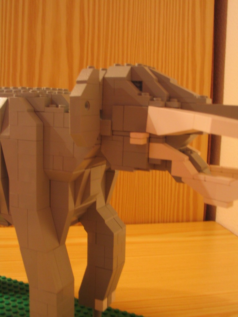 img_0467.jpg