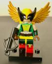 hawkgirl_crop.png