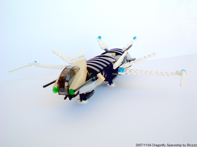 dragonflyphoto02.jpg