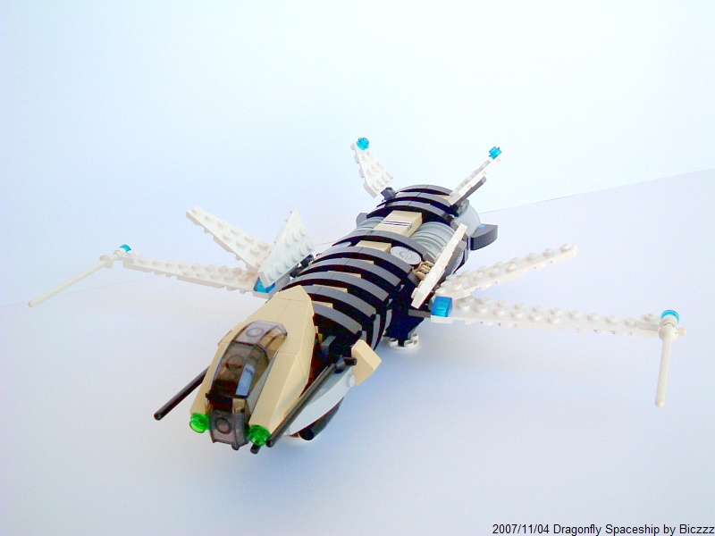 dragonflyphoto05.jpg