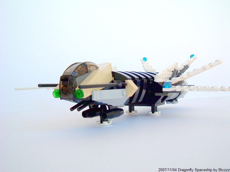 dragonflyphoto09.jpg