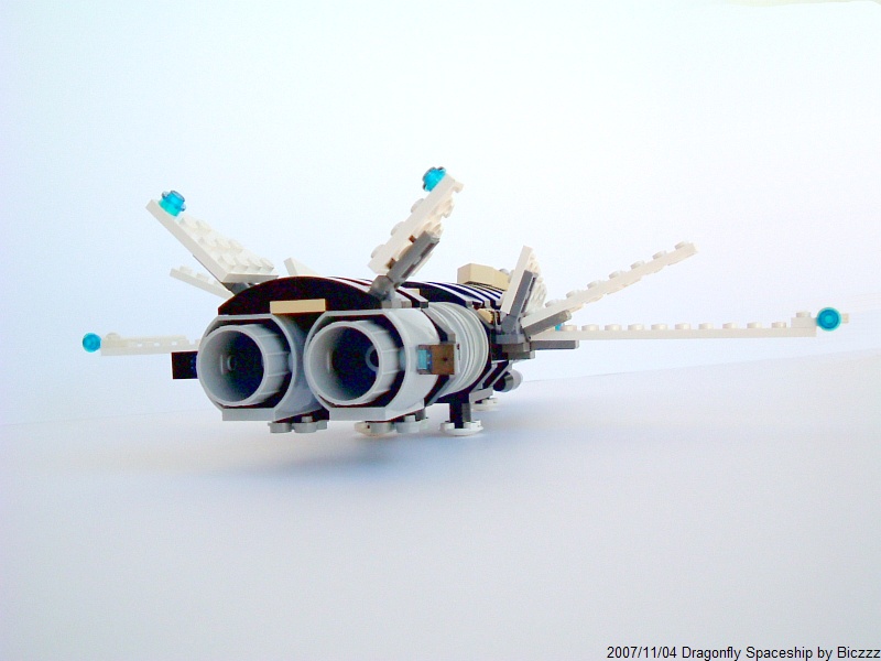 dragonflyphoto11.jpg