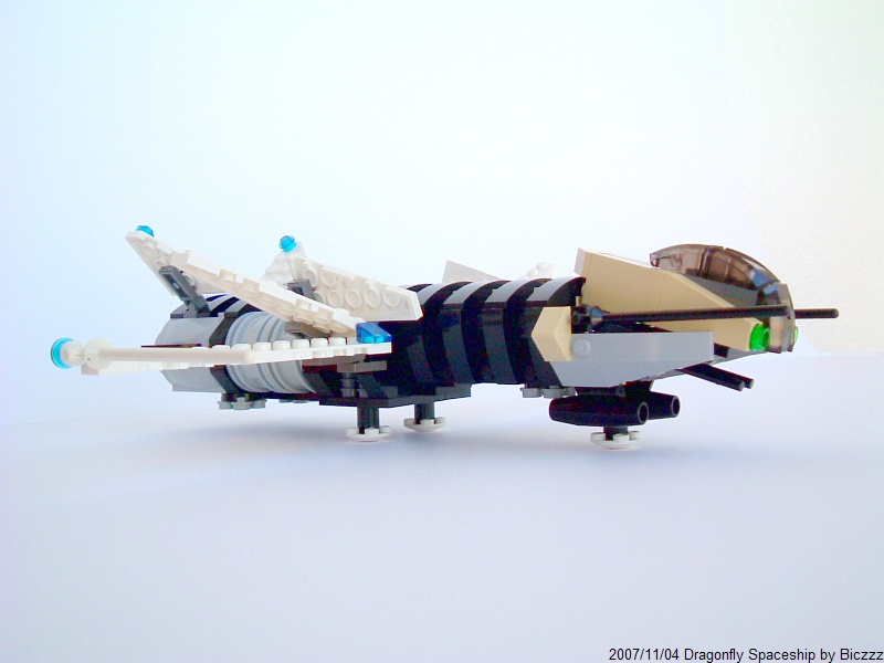 dragonflyphoto14.jpg