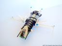 dragonflyphoto06.jpg