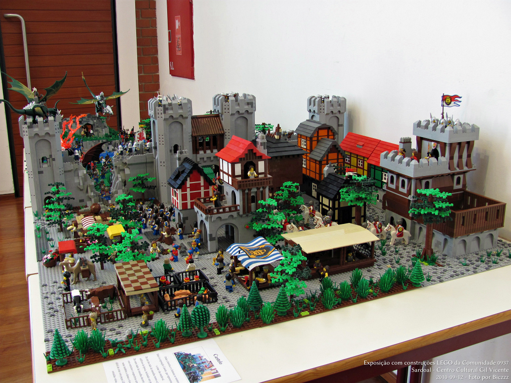 0937sardoal2010-p176-biczzz.jpg