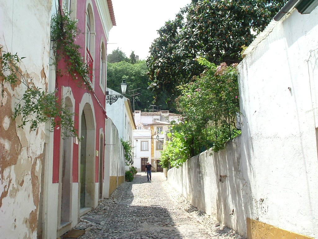 1tl008.jpg
