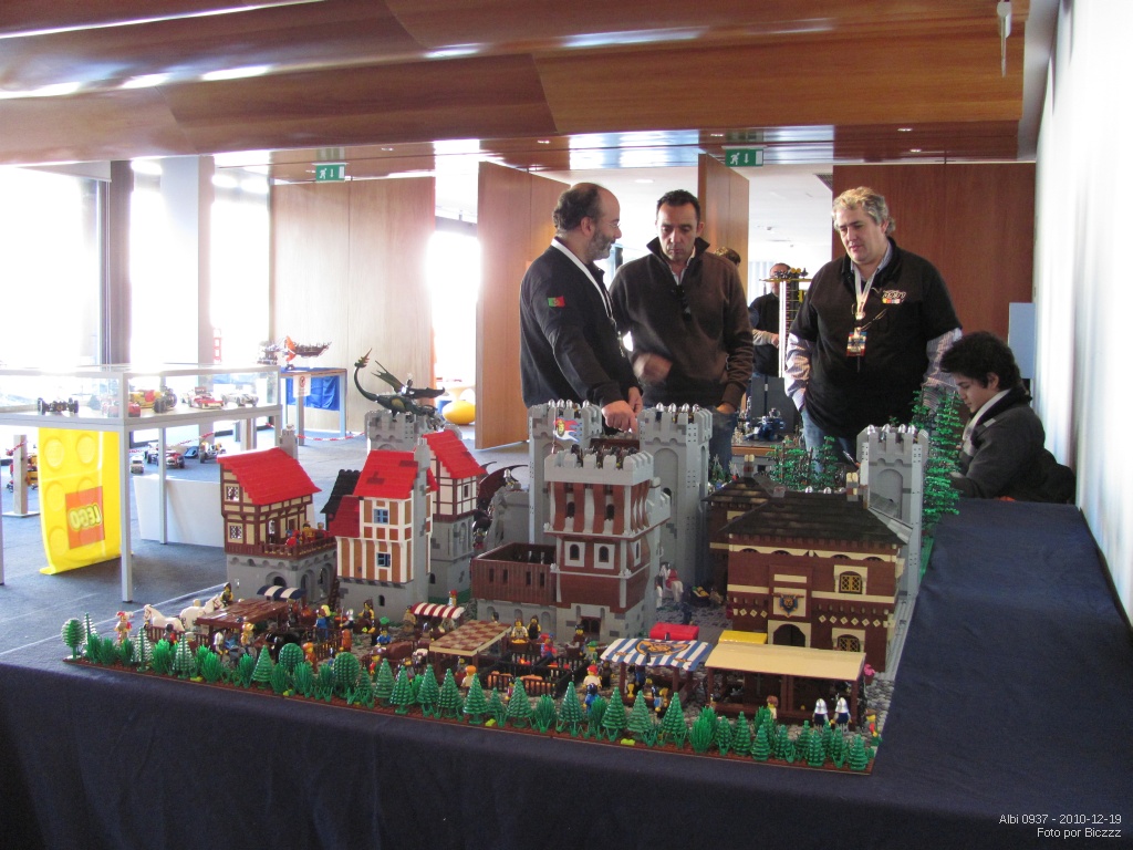 albi0937-biczzz-2010-12-20-p12.jpg