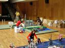 aep2010-pdc-p029-biczzz.jpg