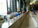 aep2010-pdc-p077-biczzz.jpg