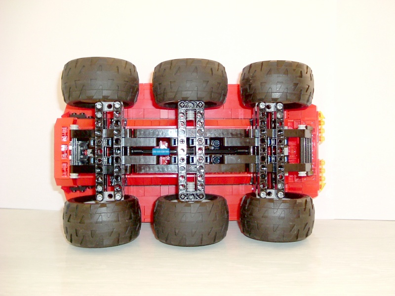redspider1photo14.jpg
