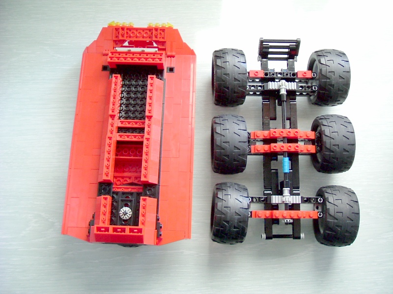 redspider1photo17.jpg