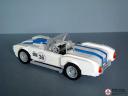 zshelbycobrabybiczzz-p08.jpg