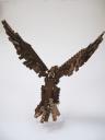 eagle10.jpg