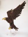 eagle12.jpg