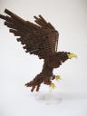 eagle5.jpg