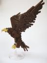 eagle7.jpg