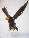 eagle8.jpg