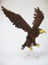 eagle9.jpg
