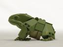 frog_02_800x600.jpg